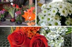 floricultura-butanta1394713546